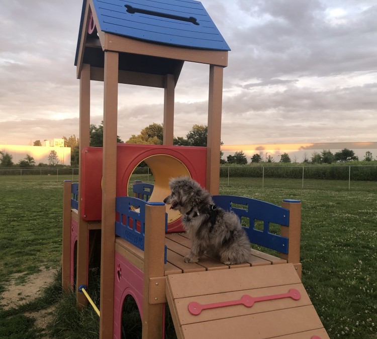 Edison-Metuchen Community Dog Park (Edison,&nbspNJ)